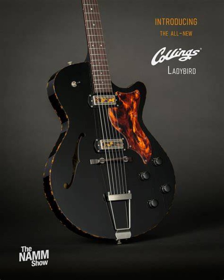 Are Collings guitars worth it?