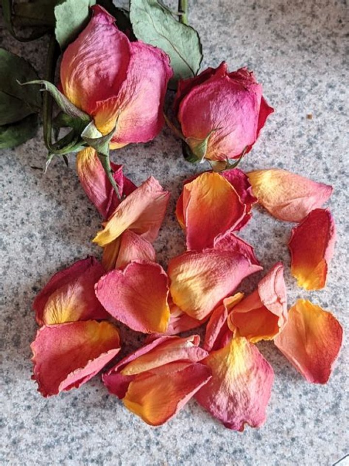 Can you write on rose petals?