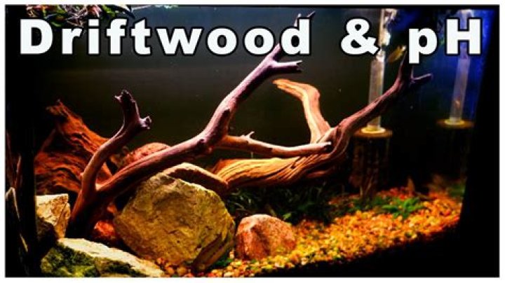 Does driftwood affect pH in aquarium?