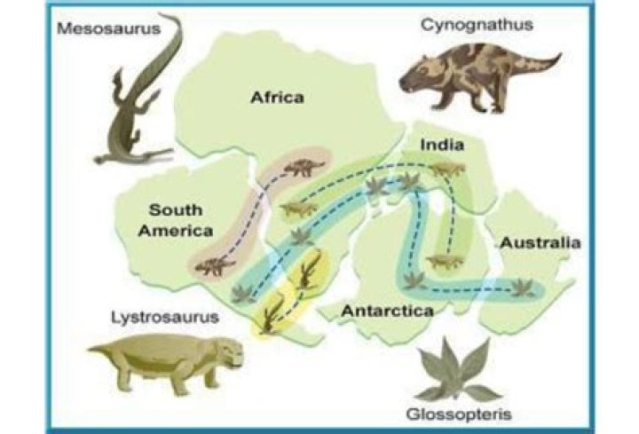 How do Glossopteris fossils support Pangaea?