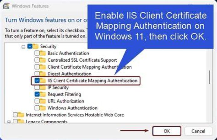 How do I enable IIS client certificate mapping authentication?