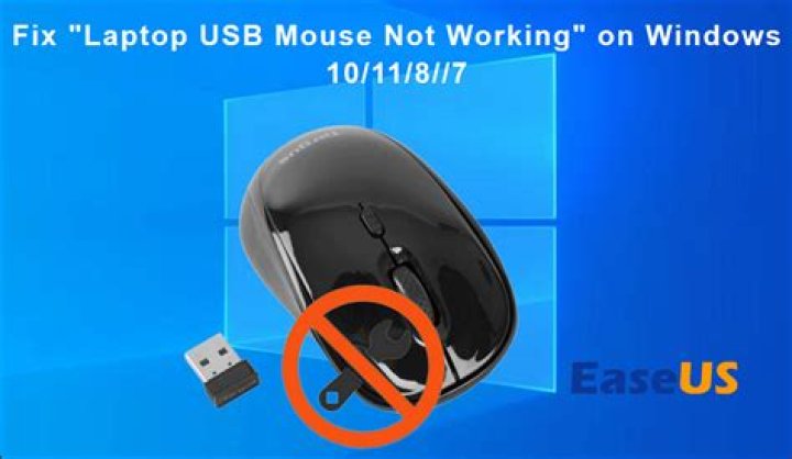 How do I fix my USB mouse not working?