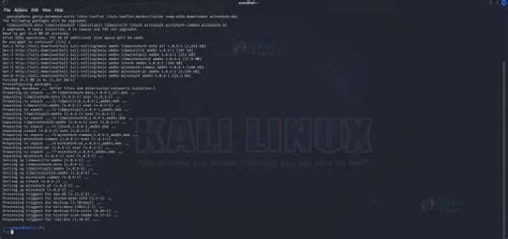 How do I run Wireshark in Linux?