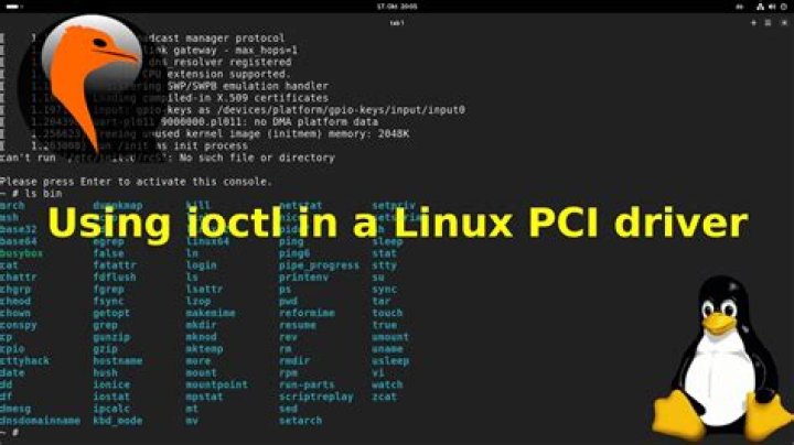 How do I use ioctl in Linux?