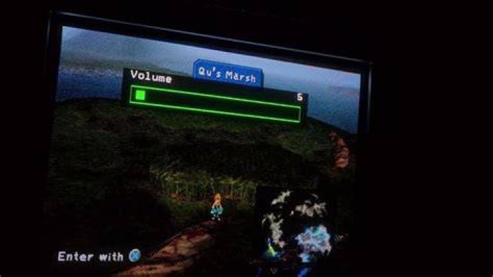 How do you catch the frog in ff9?