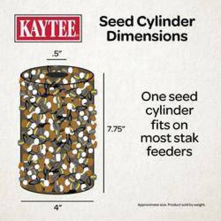 How long does a bird seed cylinder last?