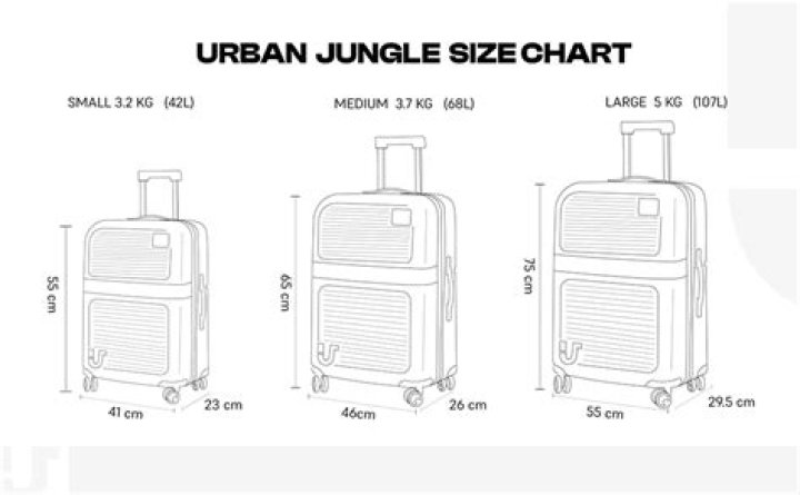 How much does a trolley bag cost?