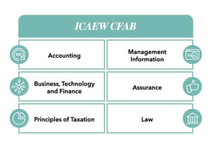 Is Cfab a professional qualification?