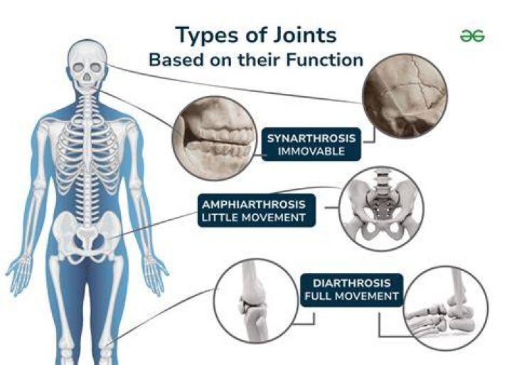 Is Gomphosis a diarthrosis joint?