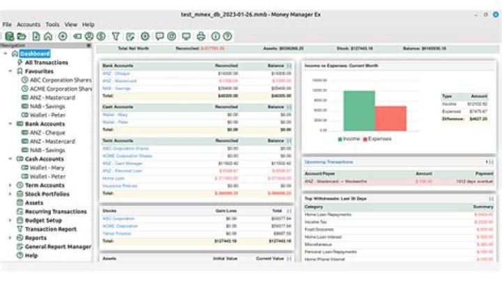 Is money manager any good?