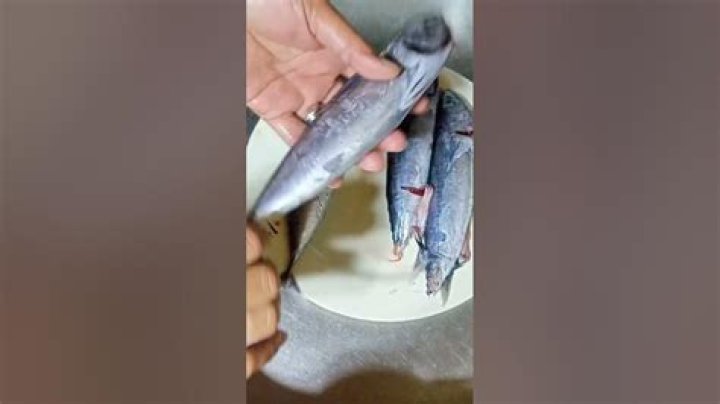 Is tulingan tail poisonous?