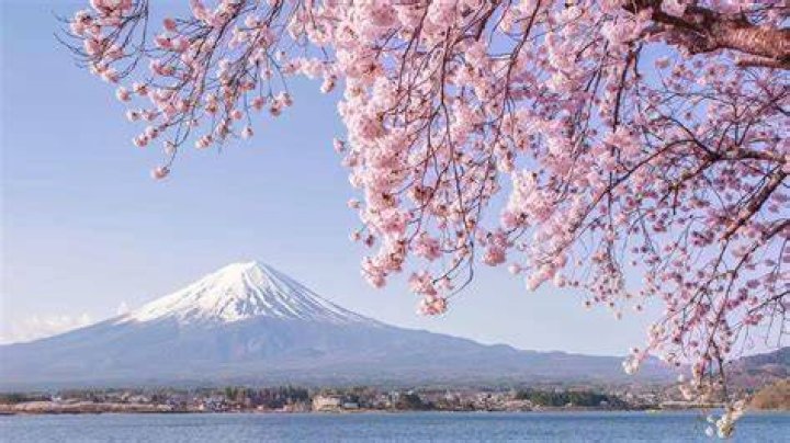 What are good things about Japan?