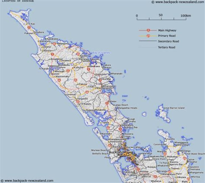 What council is Kaikohe?