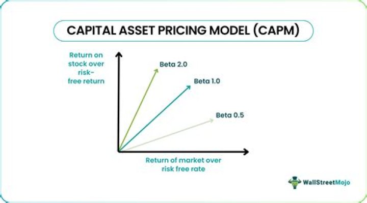 What does the CAPM model tell us?