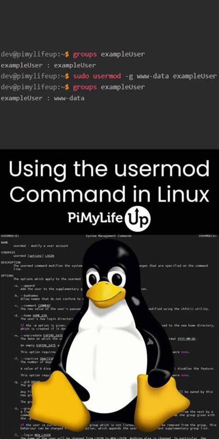 What does usermod mean in Linux?