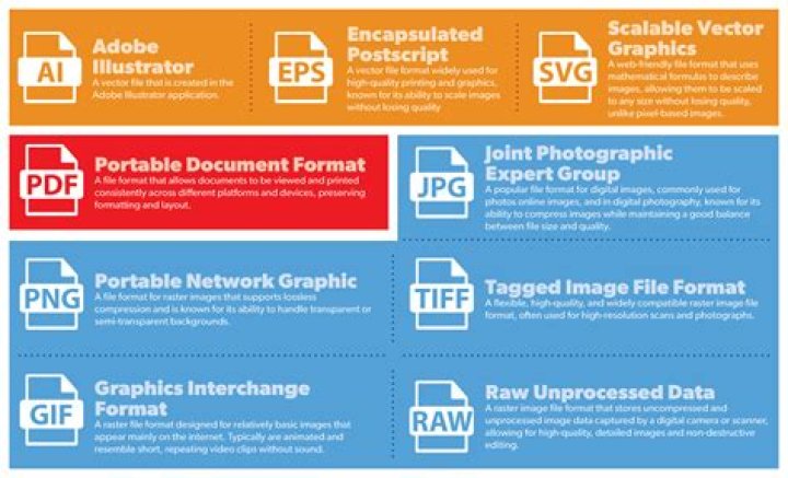 What file format do DVD players read?