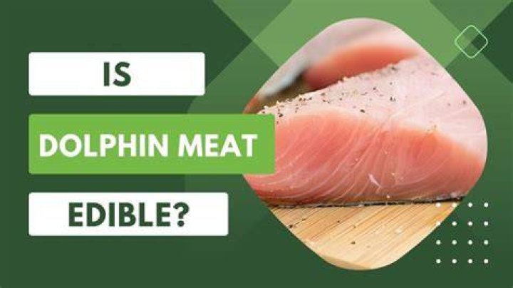 What is edible dolphin called?