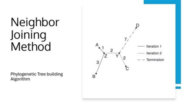 What is the neighbor joining method?