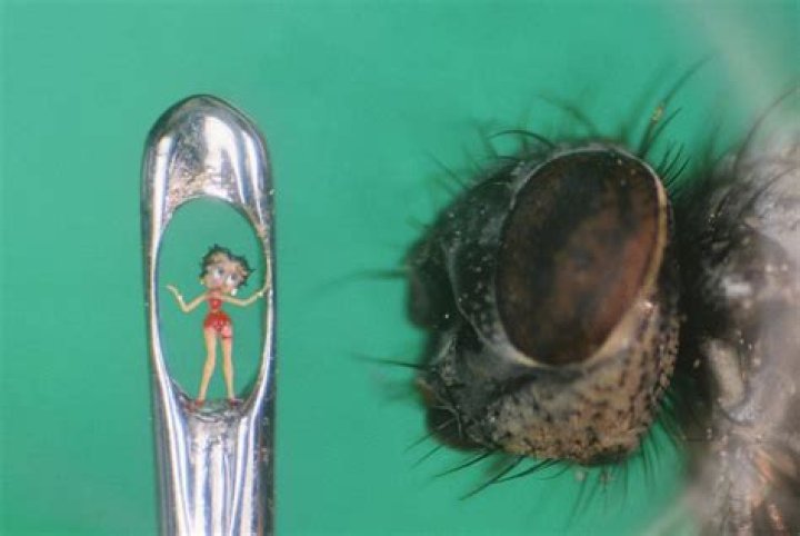 What is the smallest man made object?