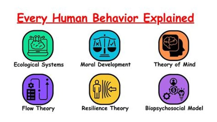 What is the study of human behavior?