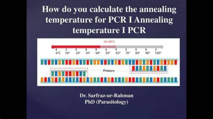What temperature should annealing PCR be?