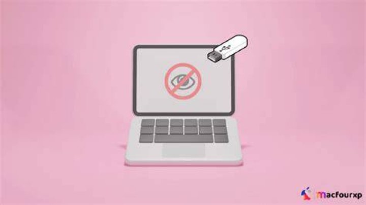 Why is my Mac not reading my flash drive?